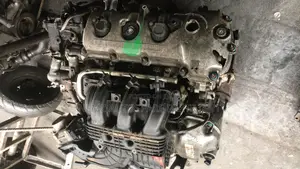 Ford Edge/Cx9 2008 - 2010