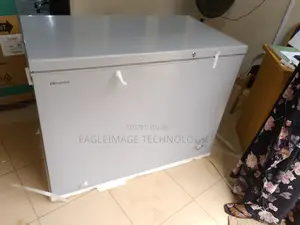 Energy-Efficient Hisense 390sh Chest Freezer