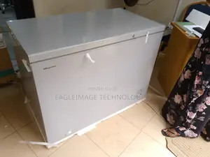 Fast-Freezing Hisense 390sh Chest Freezer