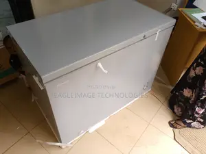 Long-Lasting Hisense 390sh Chest Freezer