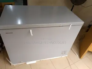 Family-Sized Hisense 390sh Chest Freezer
