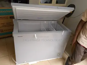High-Grade Hisense 390sh Chest Freezer