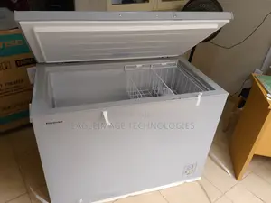 Popularly Demanded Hisense 390sh Chest Freezer