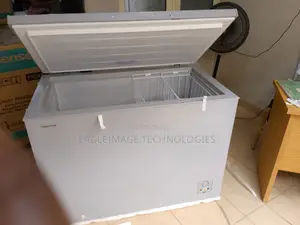 Super Strong Hisense 390sh Chest Freezer