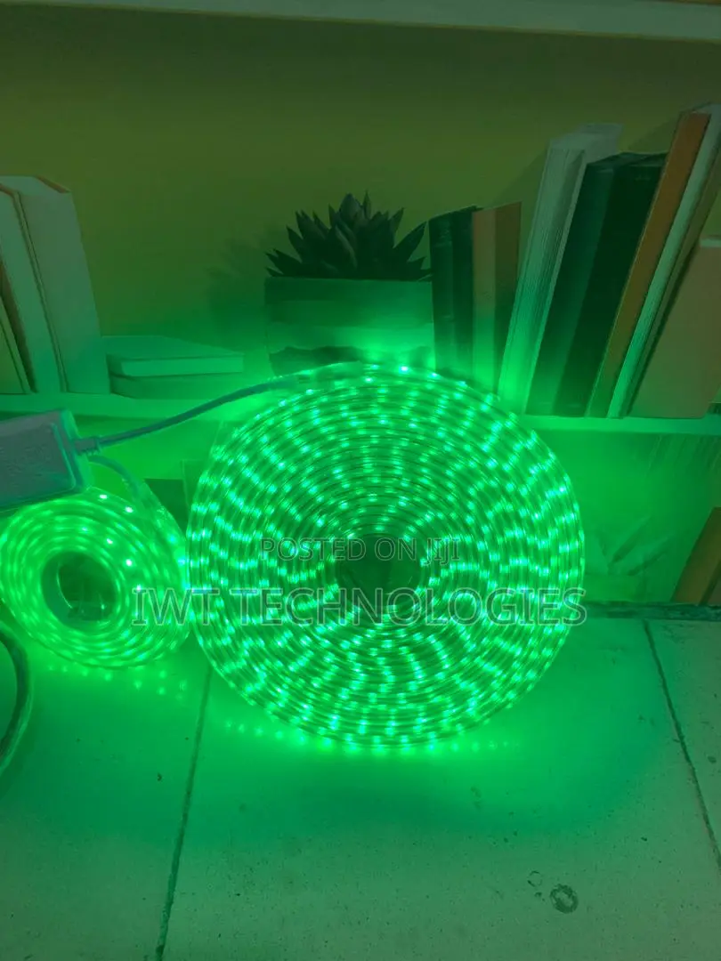 Decorative Lights