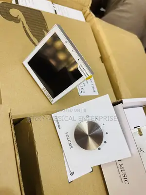 Wall Amplifier With Alexa and Tuya With Volume Control