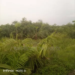 Gazetted Land's Survey Plan