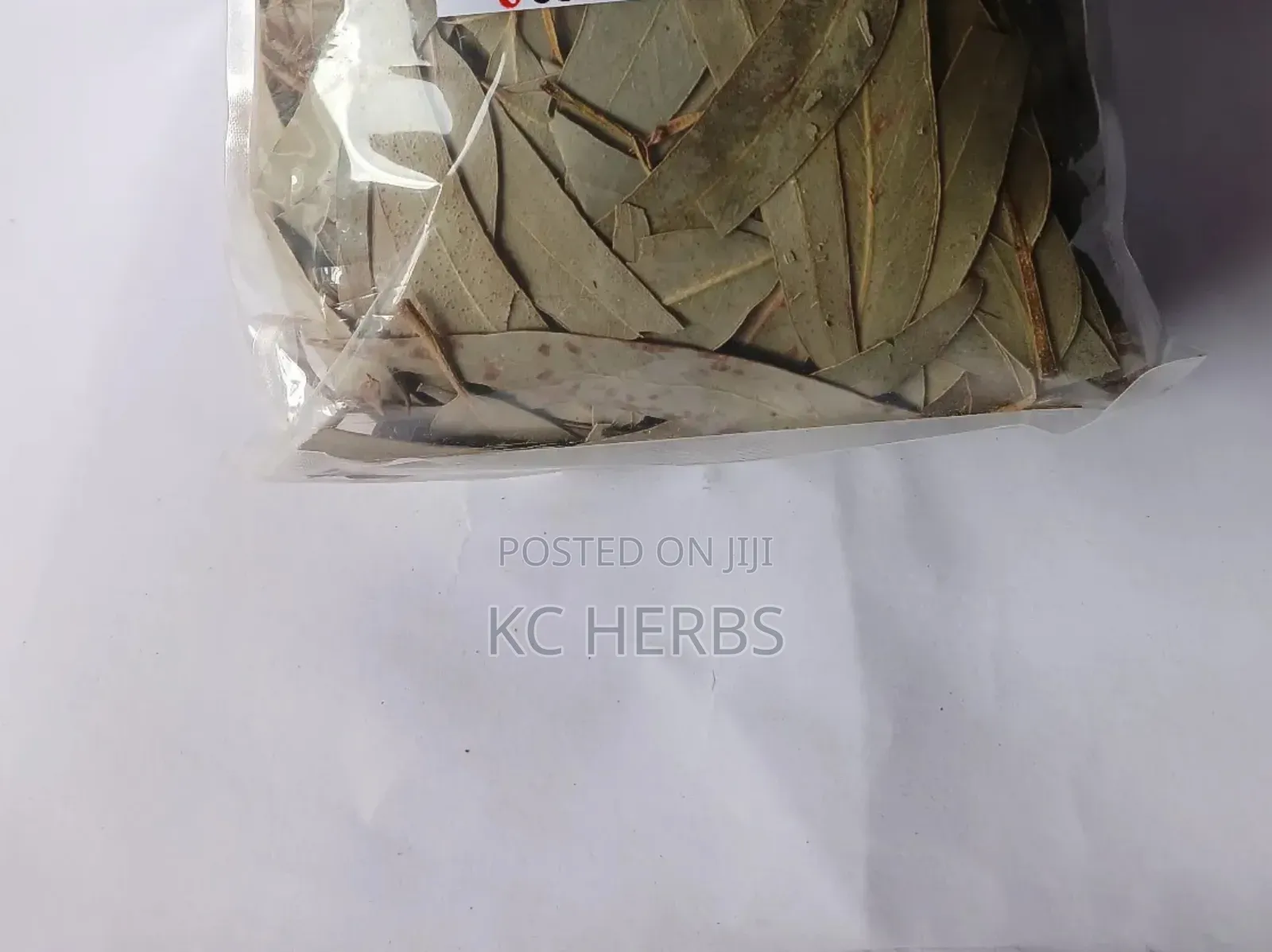 Eucalyptus Herb 100g