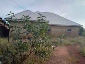 Trancsekulu, Blossom Garden, Enugu