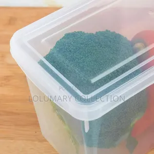Refrigerator Food Storage Container Fridge Organizer Box