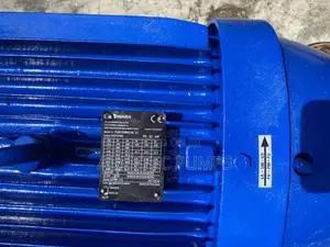 Lowara Surface Water Pump