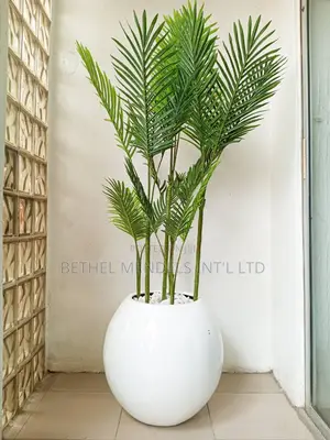 Combo of Fiberglass Flower Pot and Artificial Palm for Sale