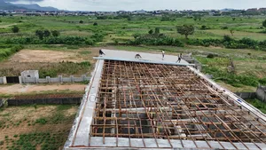 Complete 0.32mm PPGI Longspan Roofing Sheet