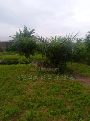 Two Plots of Dry Portable Land