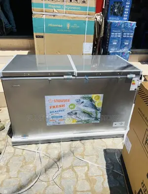 Snowsea Double Door Freezer With Top Glass BD600