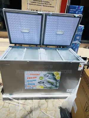 Snowsea Double Door Freezer With Top Glass BD600