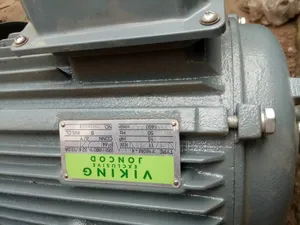 Viking Electric Motor