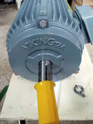 10HP Viking Electric Motor