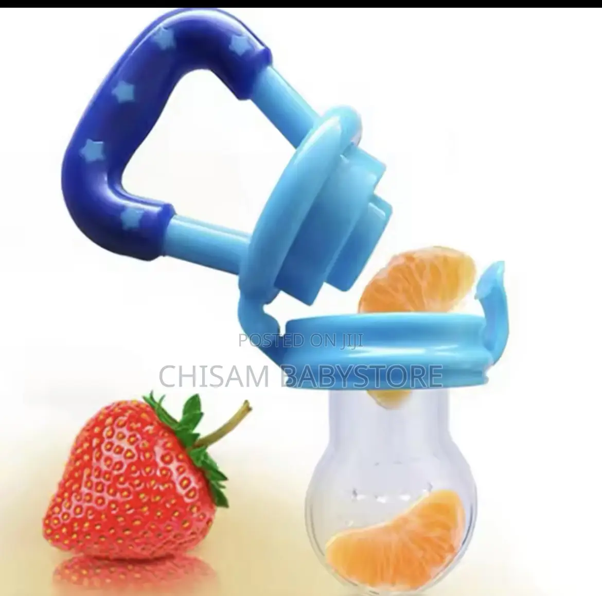 Fruit Pacifier and Teether