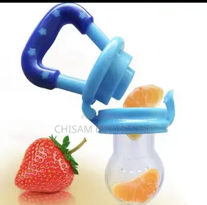 Fruit Pacifier and Teether