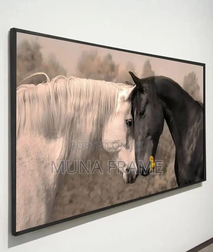 Black and White Horse