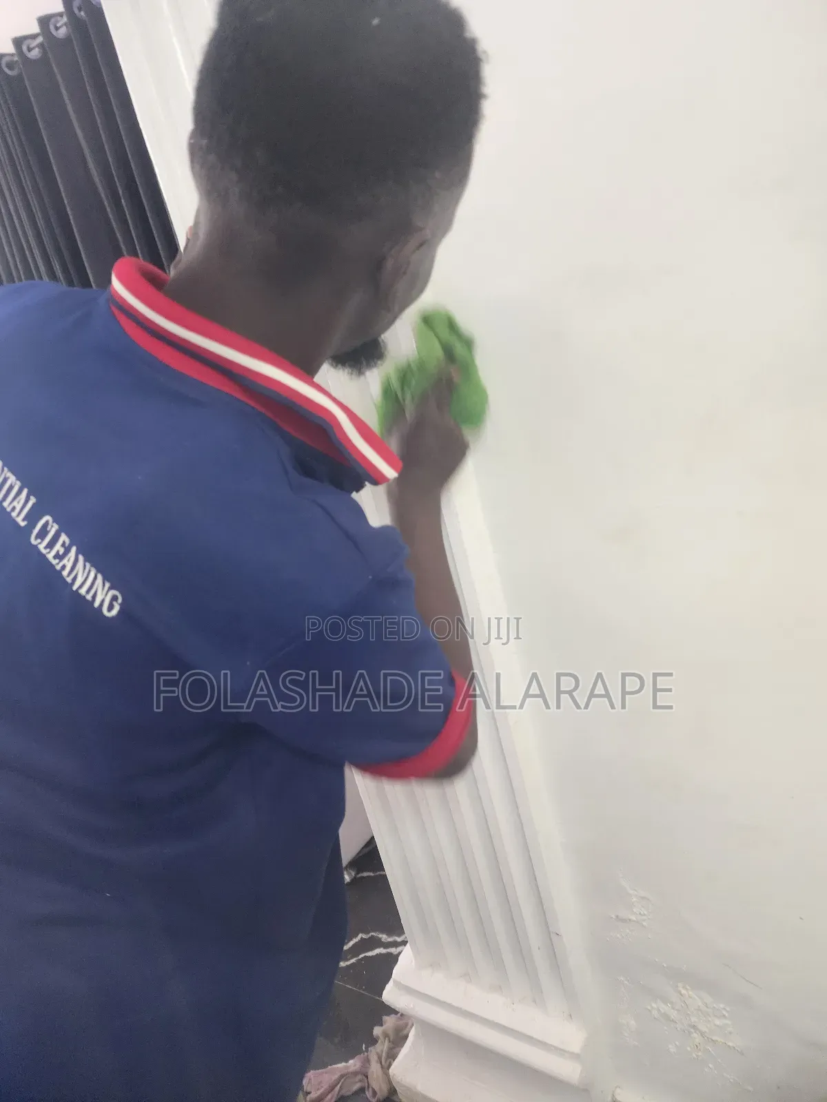 Professional Cleaning