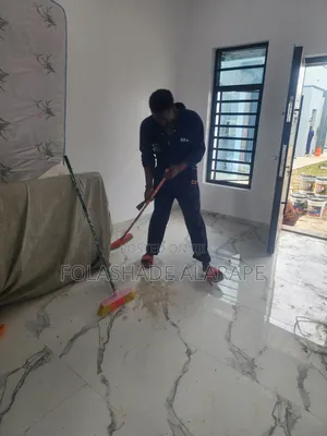 Professional Cleaning