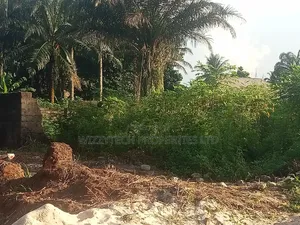 Photo - Buy Build Park in Federal Light Standard One Plot of Land