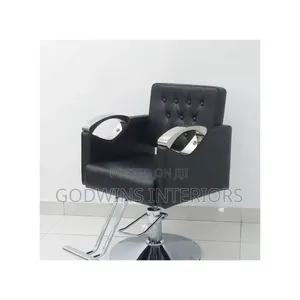 Royal Modern Salon and Spa Chair