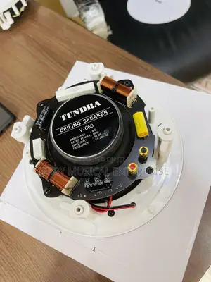 Tundra Frameless Ceiling Speakers