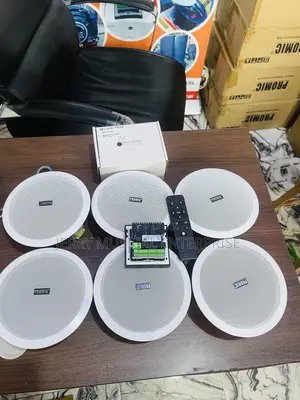 6in1 With 4inches Wi-Fi in Wall Amplifier