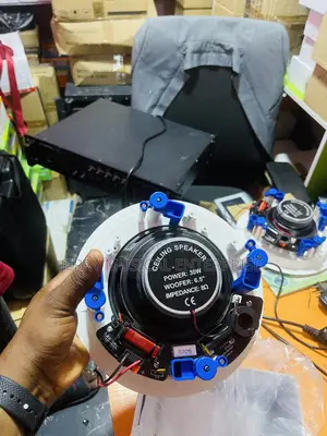 Ak Super 30watts Crossover Ceiling Speakers