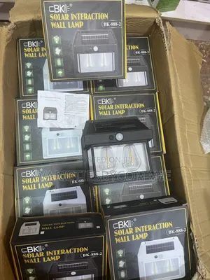 Wall Induction Bulb Lamp