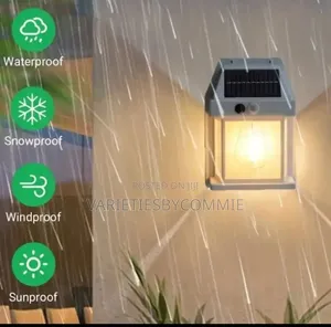 Wall Induction Bulb Lamp