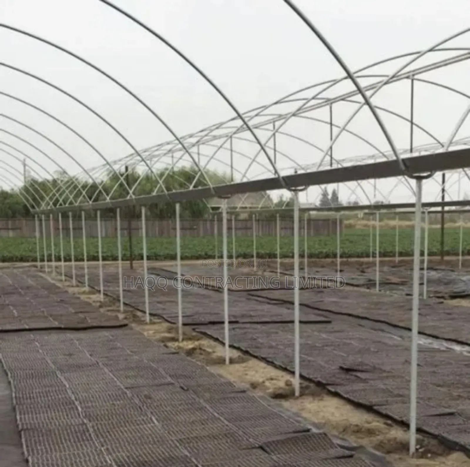 Modular Greenhouse Steel Structure Fabrication