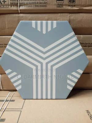 Wall Floor Tile Hexagon 24 Design