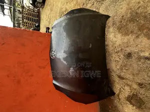 Bonnet Toyota Matrix 2009-014