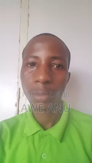 Mr Anu Olatayo Awe