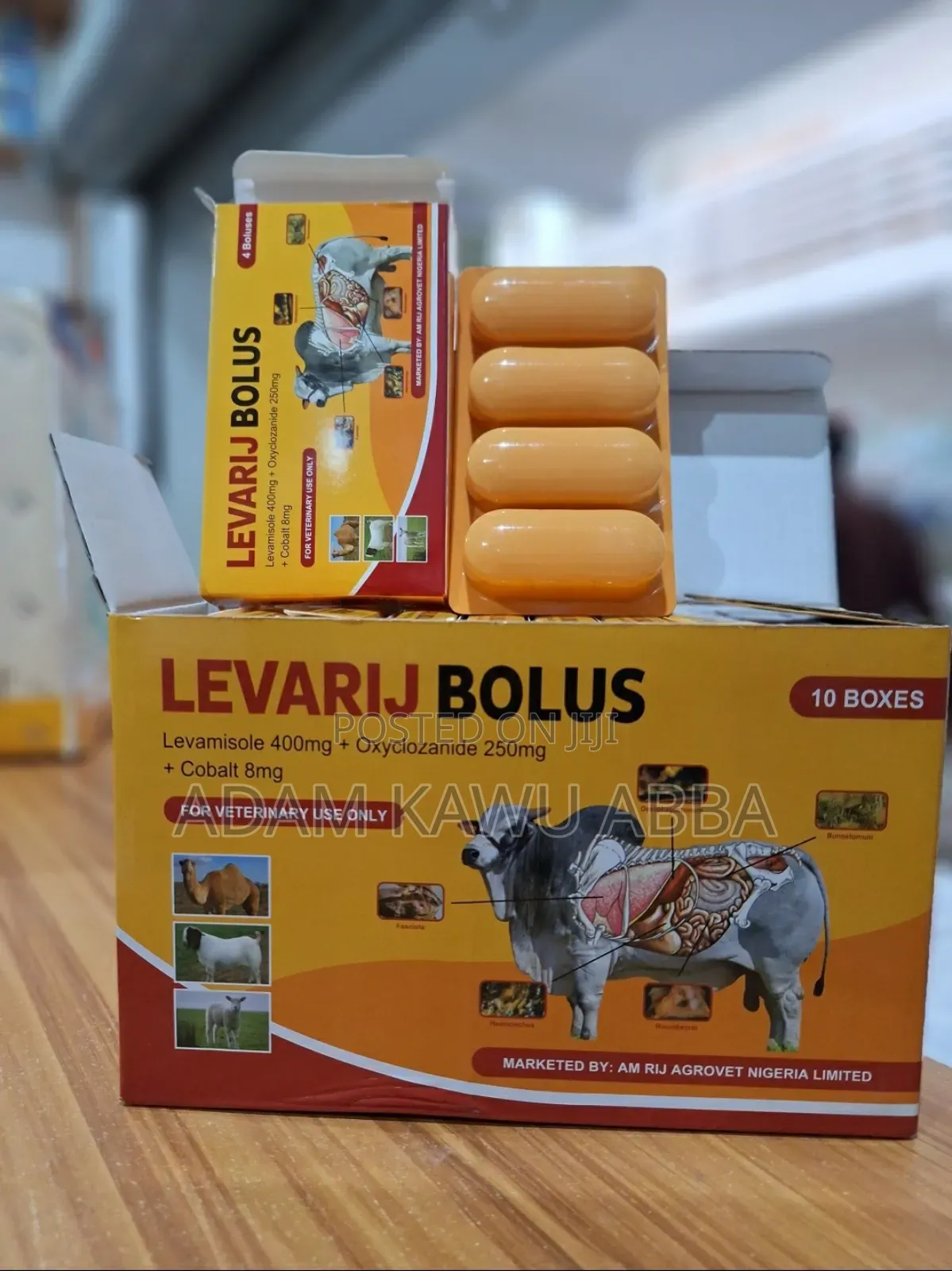 Levarij Bolus