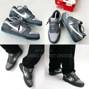 Nike Sb Dunk Low “Anthracite”