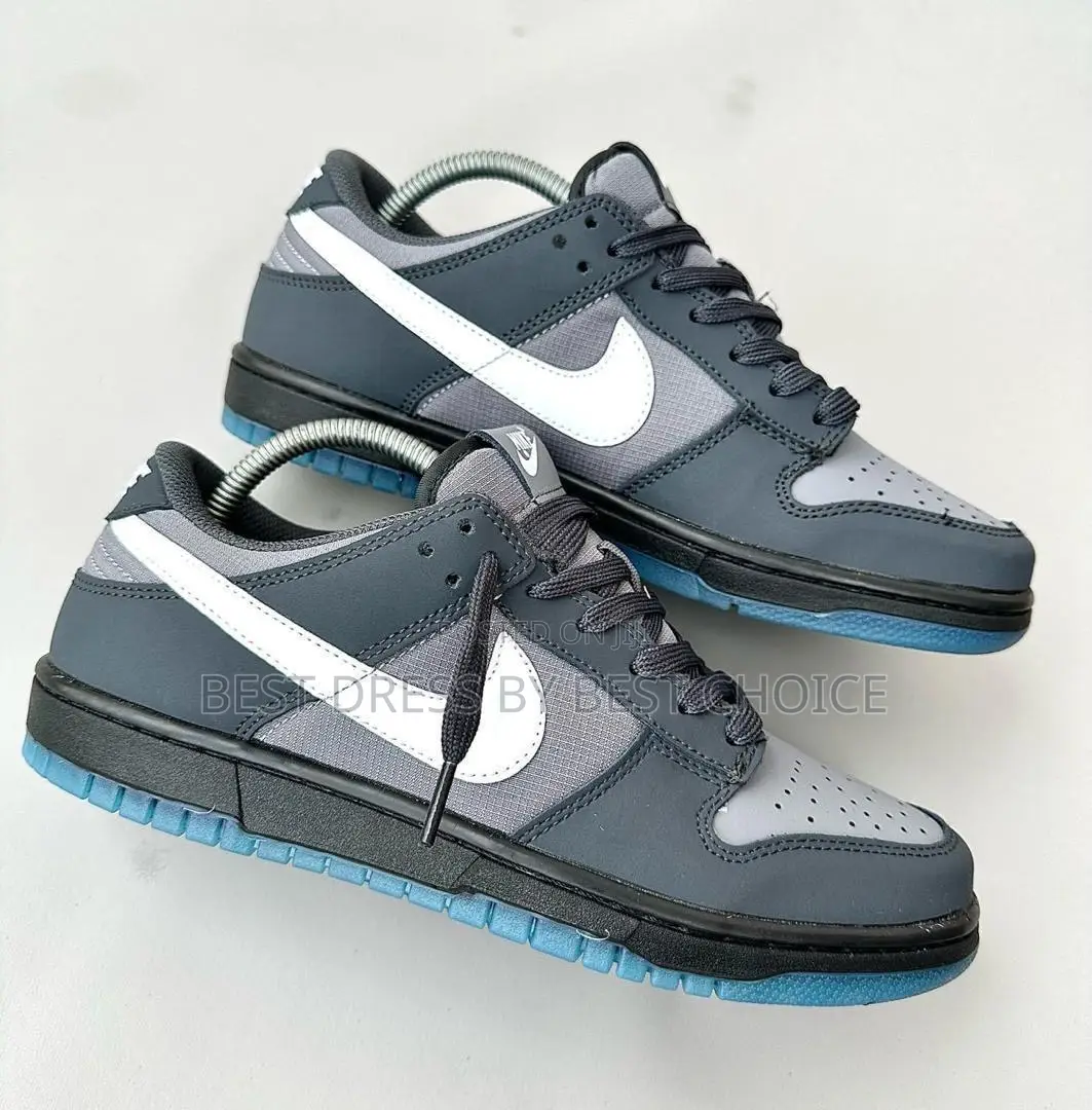Nike Sb Dunk Low “Anthracite”