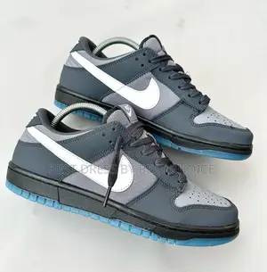 Nike Sb Dunk Low “Anthracite”