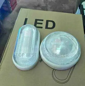 Transparent Bulkhead Outdoor Wall Lights
