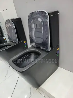 Watercloset Seat And Tank