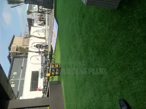 Artificial Carpet