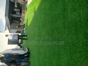 Artificial Carpet