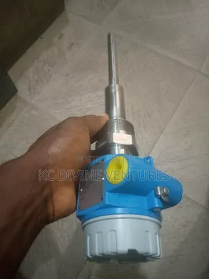 Endless+Huaser Soliphant Sensor