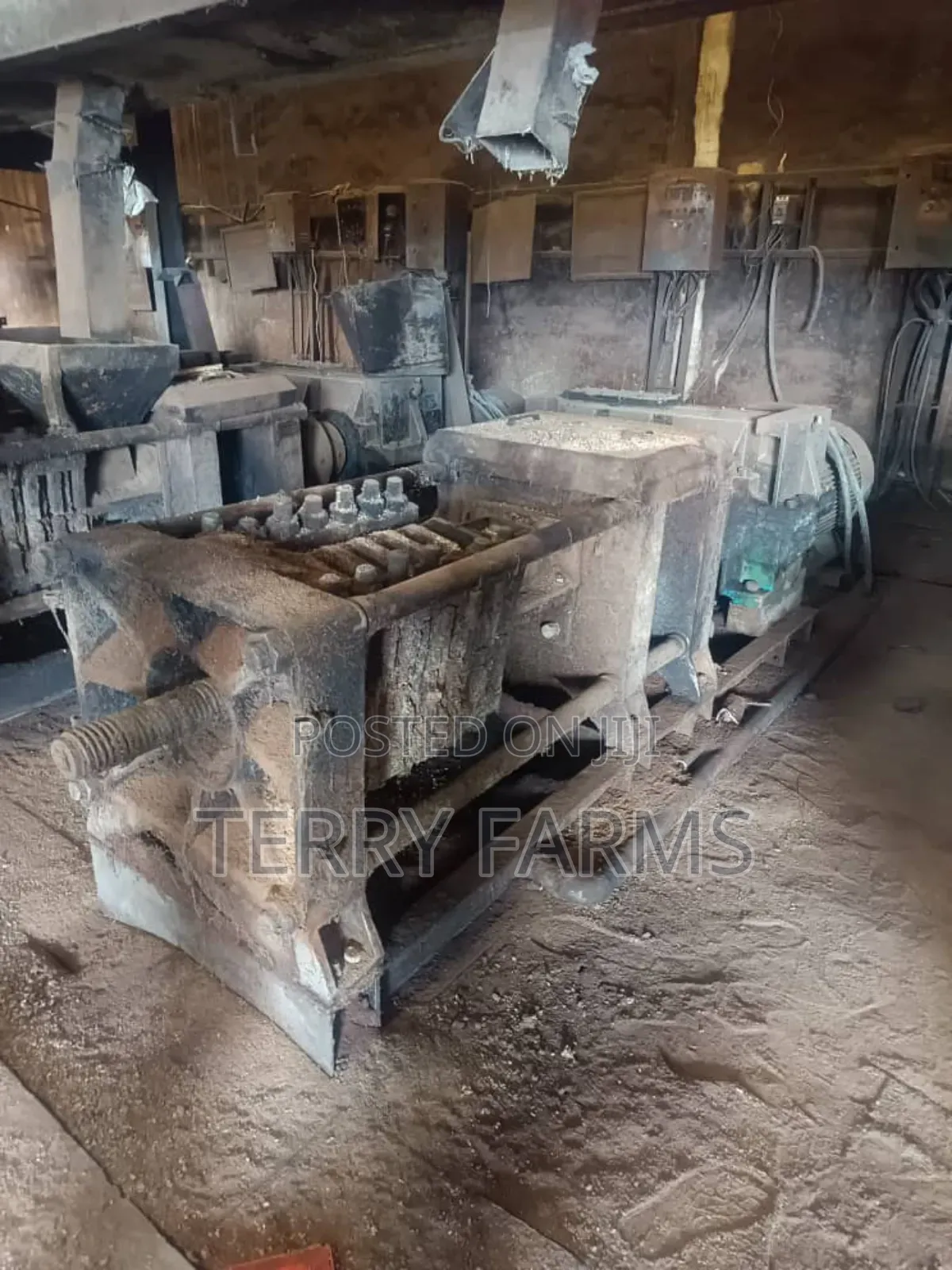 Palm Kernel Oil Extractor