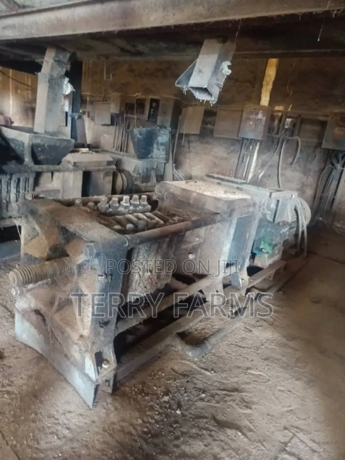 Palm Kernel Oil Extractor