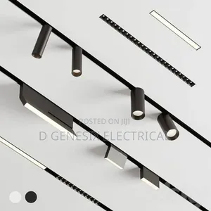 Magnetic Track Light